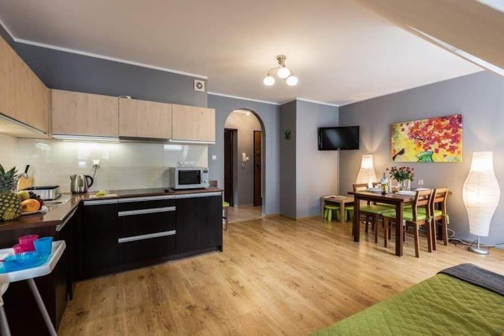 Apartament 6 W Centrum 5 Min Od Krupowek, Parking ザコパネ エクステリア 写真
